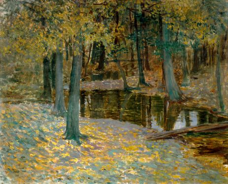 Stream in Autumn