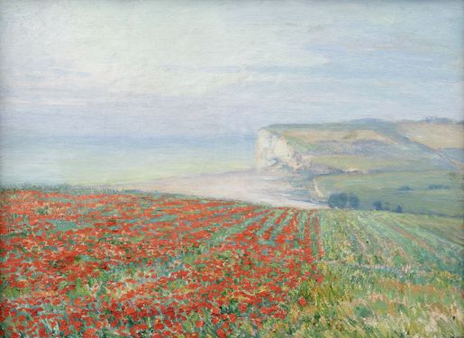 Blooming Poppies in Normandy