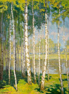 Birch Wood