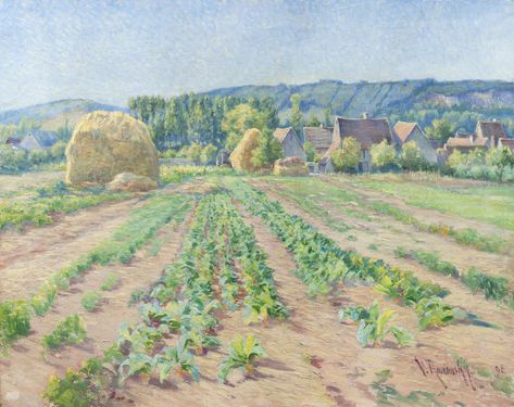 Cabbage Fields near Vernon