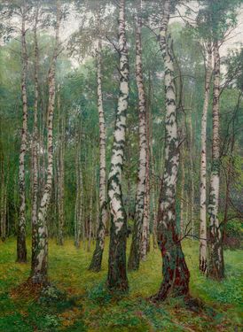 Birch Grove