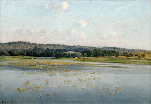 Lásenice Pond I