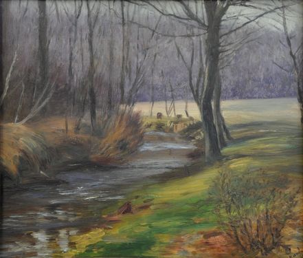 A brook by Železnice