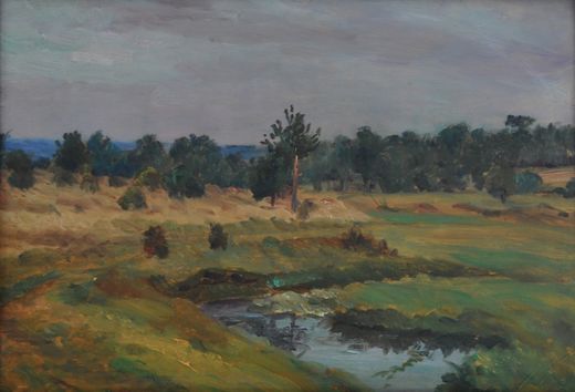 Landscape by the brook