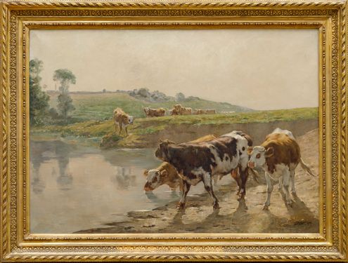 Cows in the Pasture