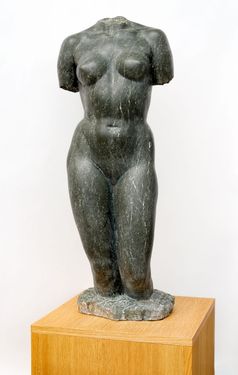 Torso of a Young Woman