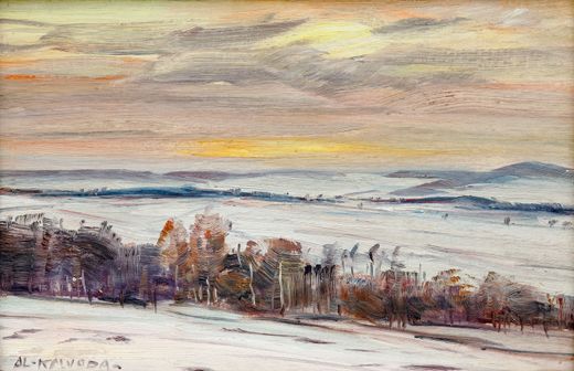 Winter Landscape