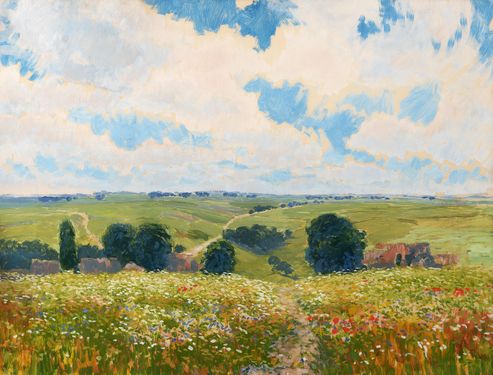 Summer landscape