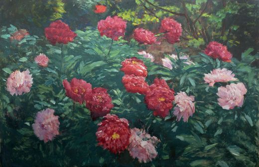 Peonies