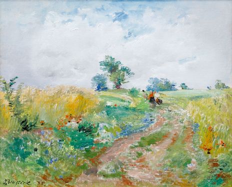 Summer Landscape