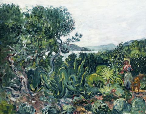 Mediterranean landscape