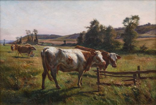 In the Pasture