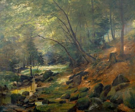 Forest Landscape