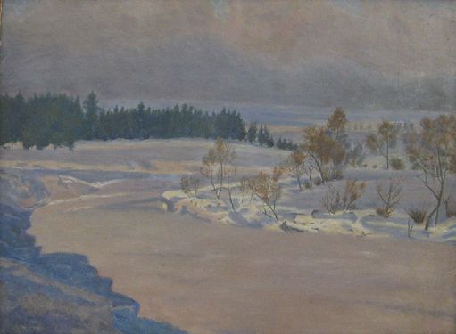 Winter on the Chrudimka
