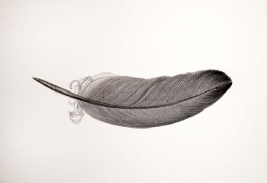 Feather