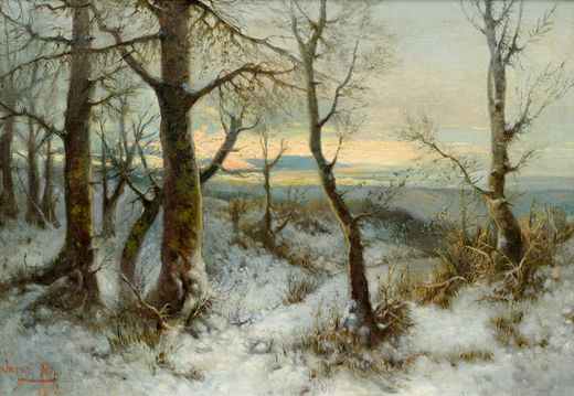 Winter Landscape