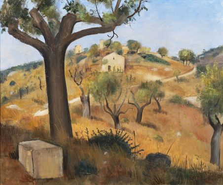 Summer landscape in Provence