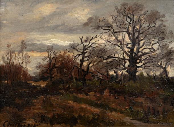 Vřesoviště ve Fontainebleau