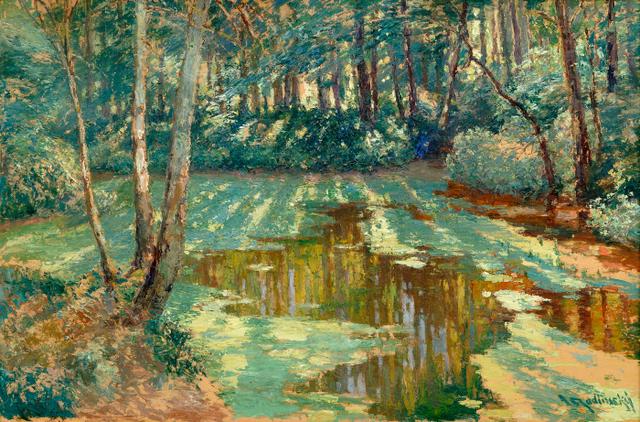 Reflection in a Forest
