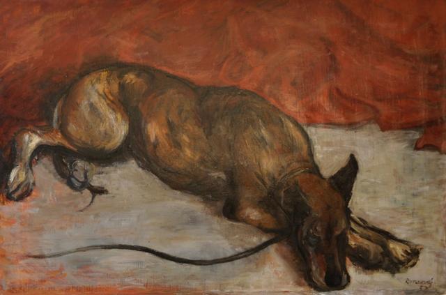 Dog