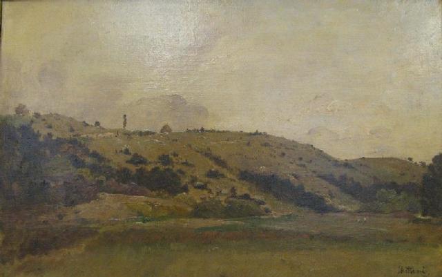 Fallow Landscape