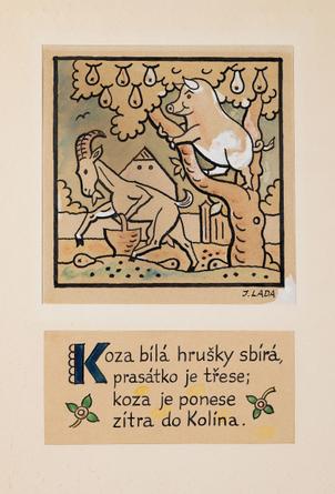 Koza bílá hrušky sbírá