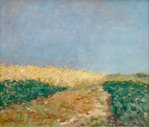 Grain Field
