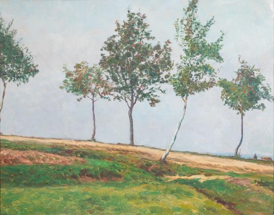 Jeřáby a břízky