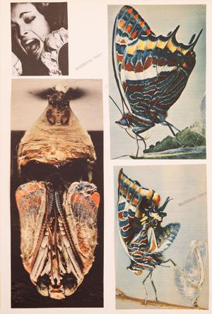 Set of Twelve Collages 
