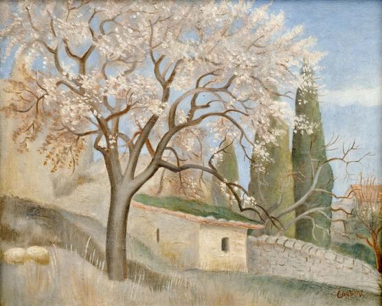 Blooming Almond Tree