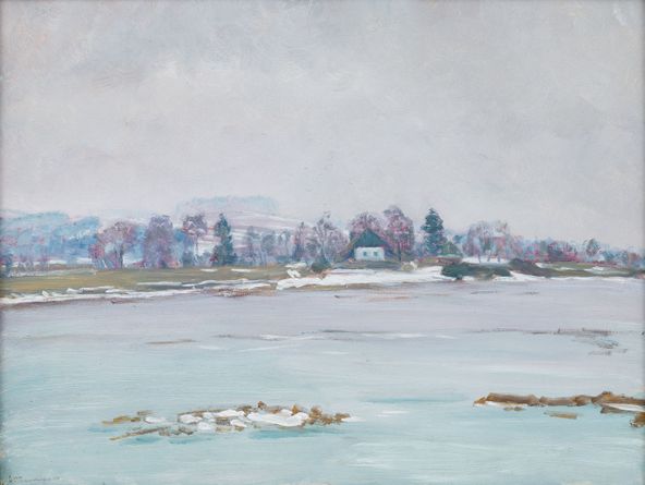 A Pond near Trhová Kamenice