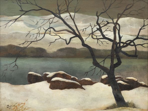 Snow-Covered Boulders