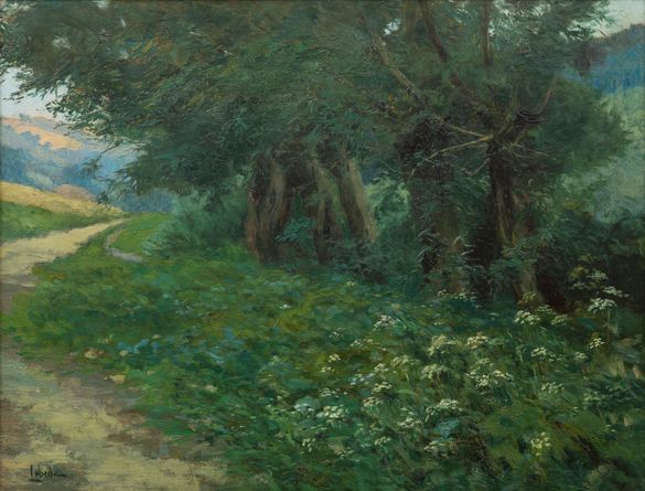 Path along the Forest