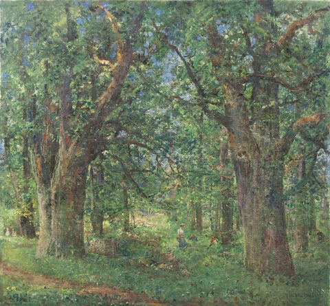 From Žehušice park