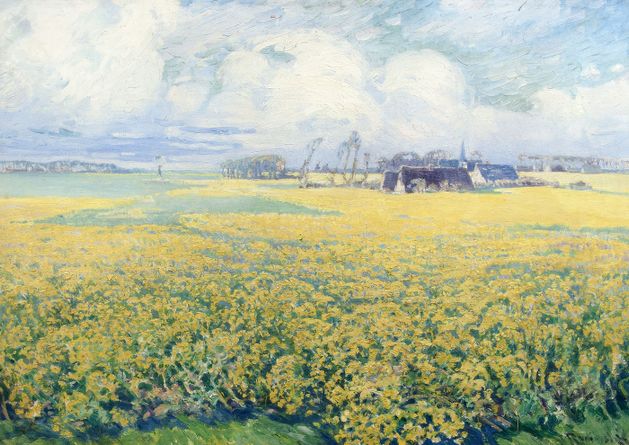 Field of Mustard