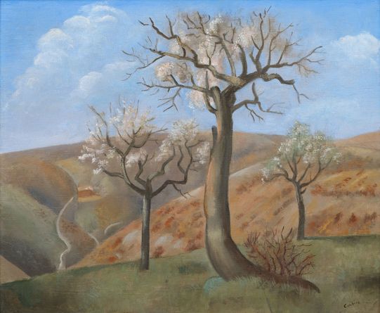 Provençal Landscape