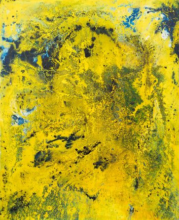 A Walk on Slavic Island (Žofín)