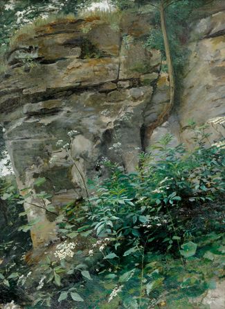 The Rocks
