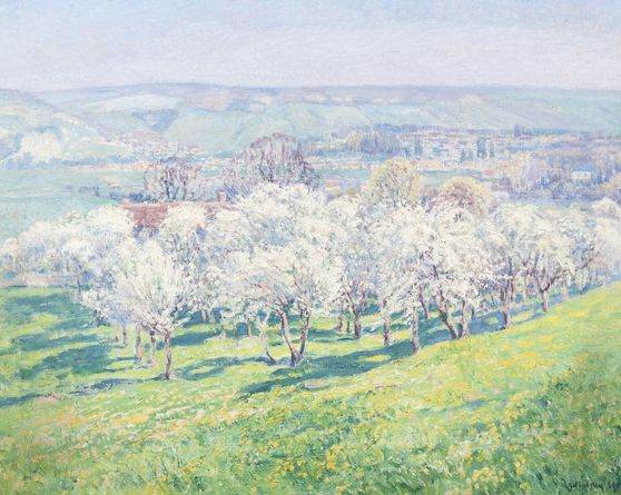 Blooming orchard